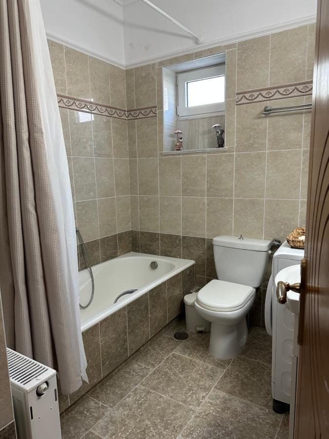 Gavrilis Apartments Nenita エクステリア 写真